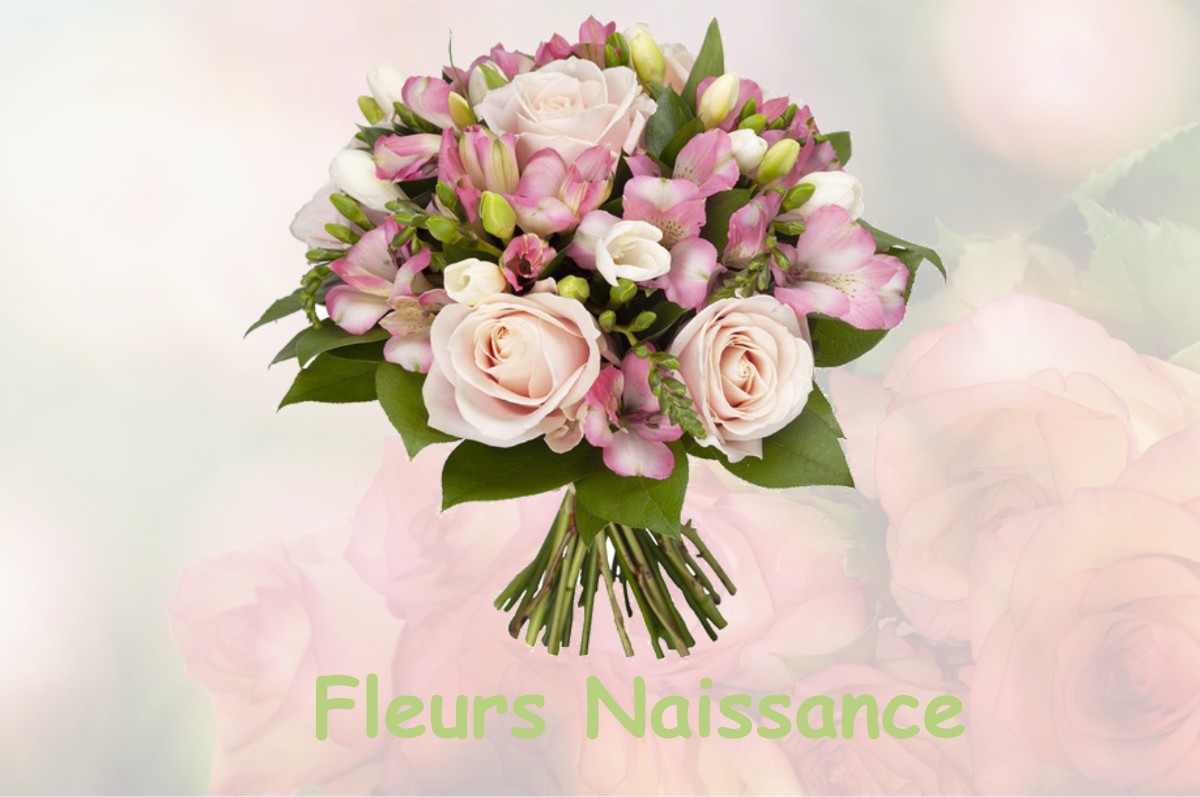 fleurs naissance NEUILLAY-LES-BOIS