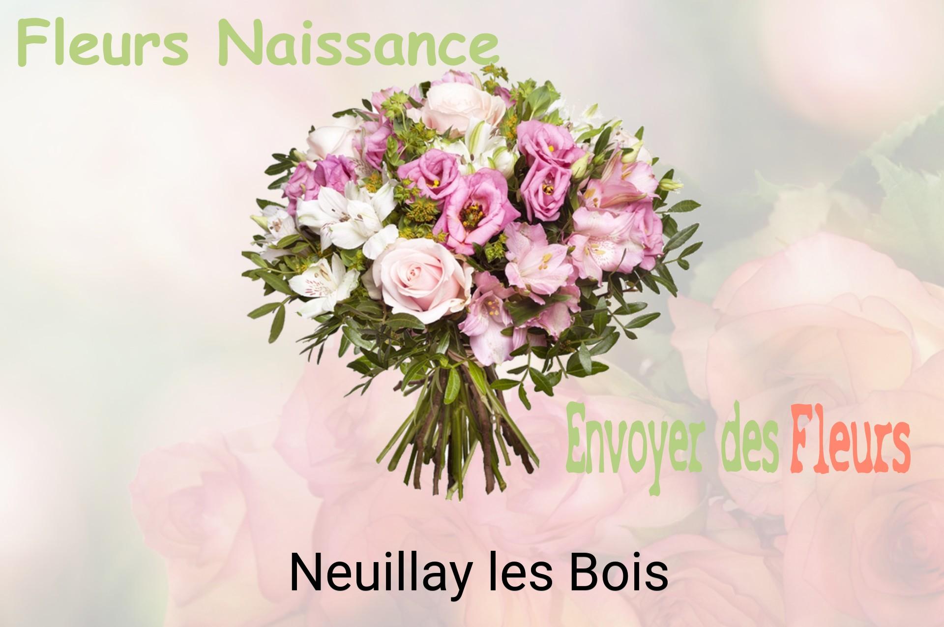 Bouquet de fleurs de naissance livré à Neuillay-les-Bois