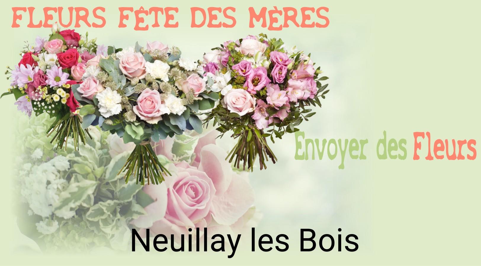 Bouquet de Fête des Mères livré à Neuillay-les-Bois